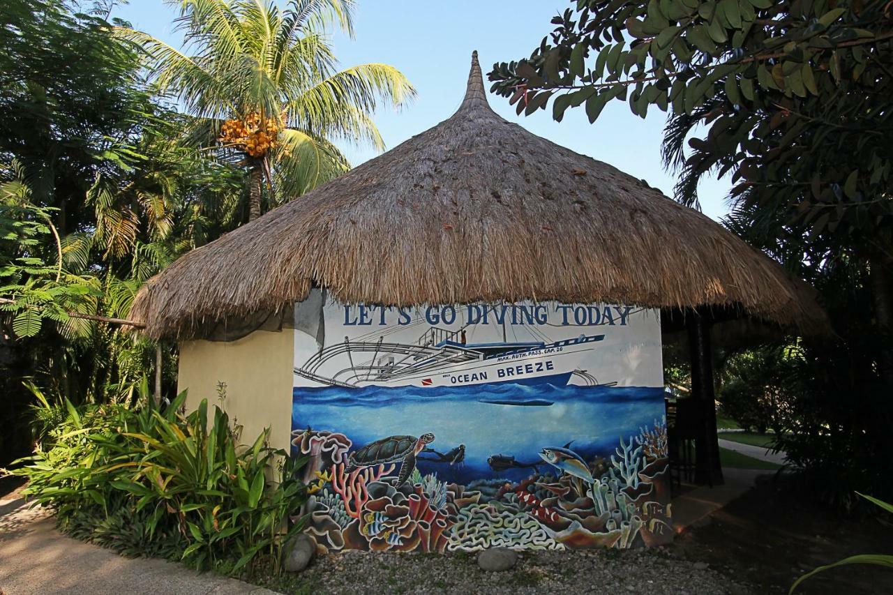 Thalatta Resort Zamboanguita  Экстерьер фото